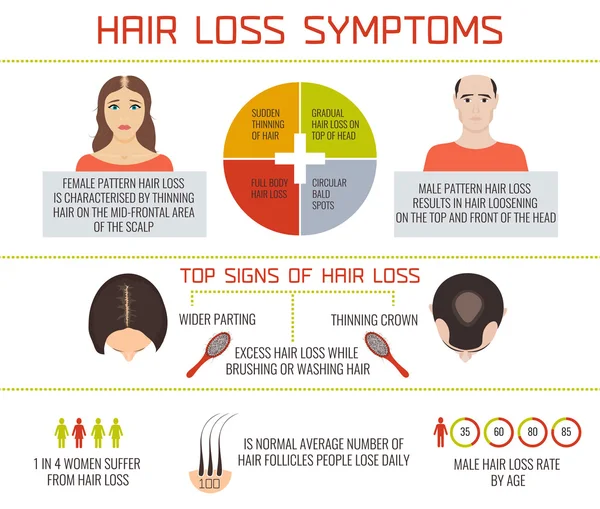 Hair loss symptoms infographics — Stock Vector