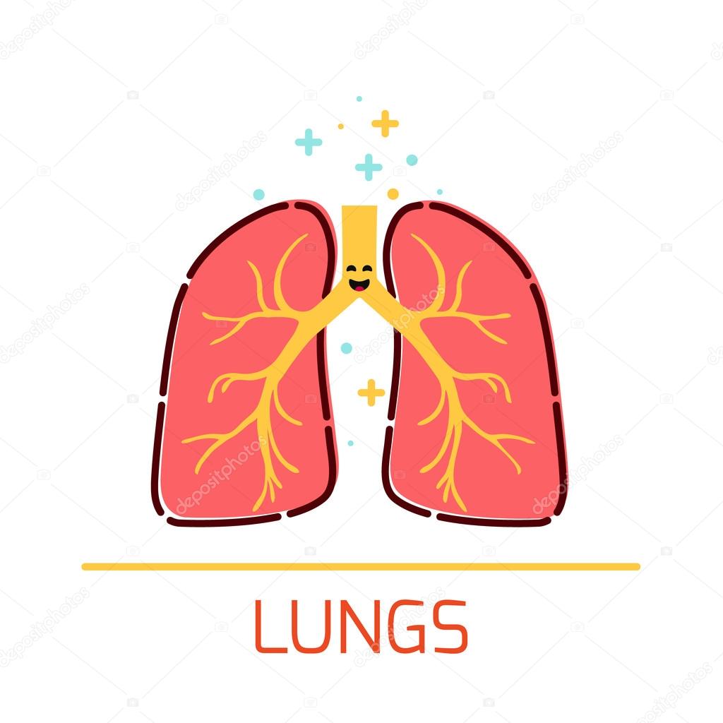 Lungs cartoon icon Stock Vector Image by ©Naumas #113161102