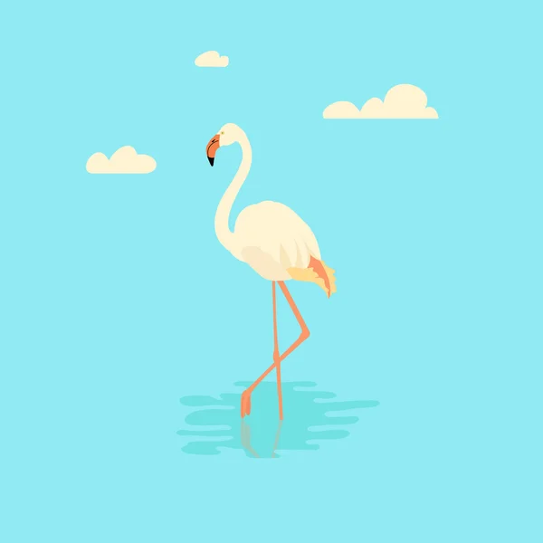 Flamingo biały ilustracja — Wektor stockowy