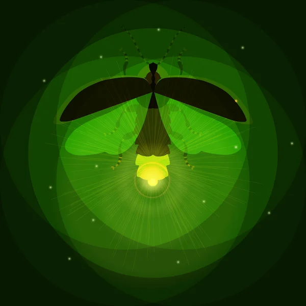 Світиться firefly ілюстрація — стоковий вектор
