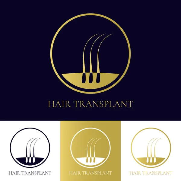 Modelo de logotipo de transplante de cabelo —  Vetores de Stock