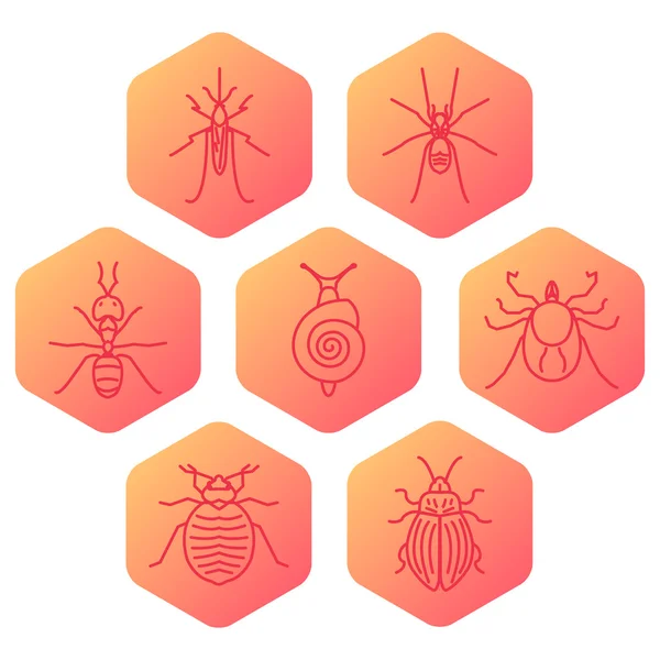 Шестиугольник насекомых — стоковый вектор