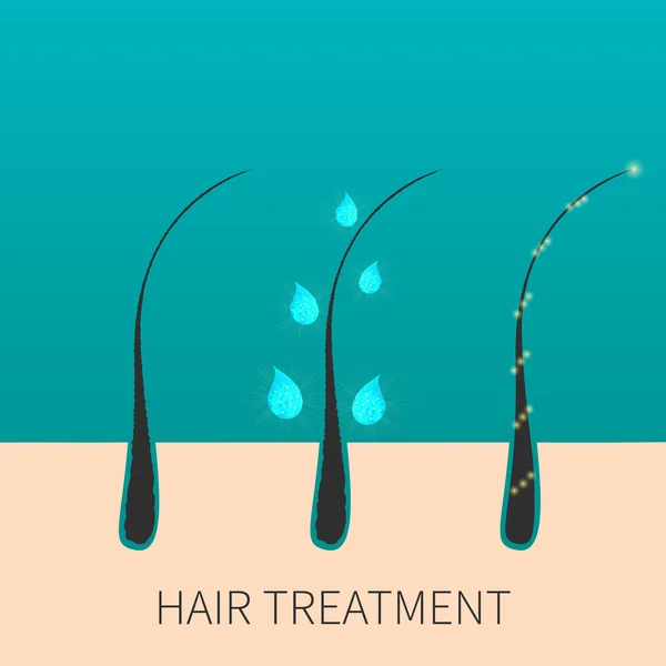 Hair care kezelés koncepciót — Stock Vector