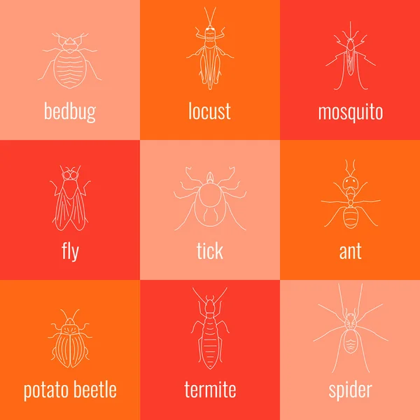 Set di icone linea di insetti — Vettoriale Stock