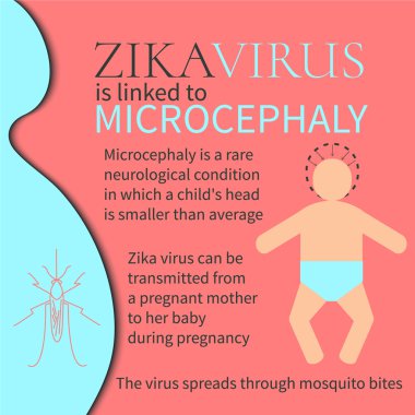 Zika virüs microcephaly poster