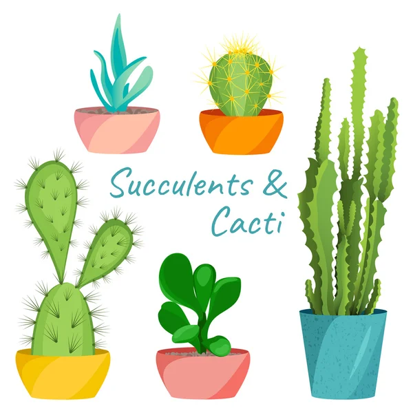 Ensemble de succulents et cactus — Image vectorielle