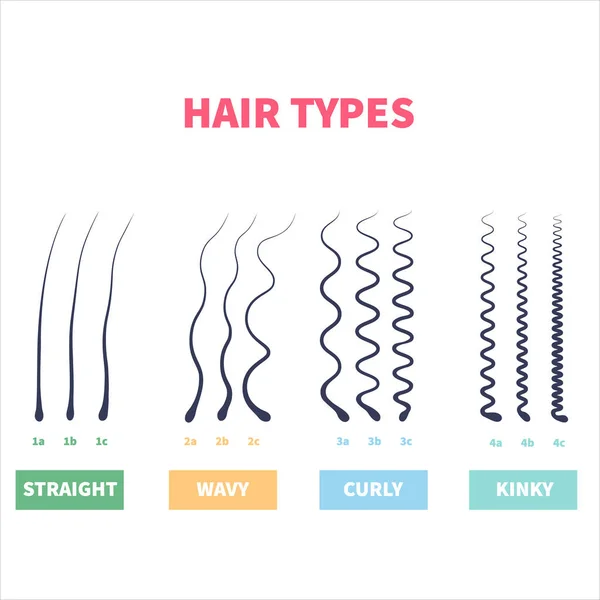 Straight Ondulado Encaracolado Tipos Cabelo Kinky Sistema Classificação Definido Gráfico —  Vetores de Stock