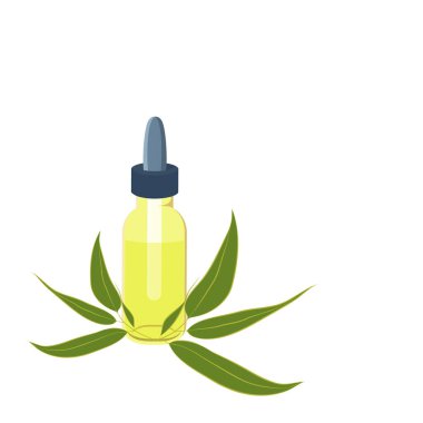 Ağaç yapraklı okaliptüs esaslı yağ şişesi.