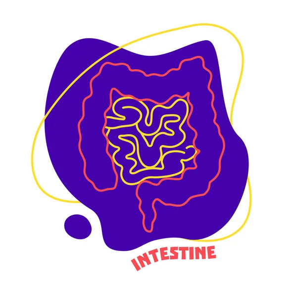 Ícone de contorno de órgão do intestino grosso e delgado —  Vetores de Stock