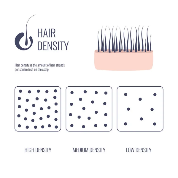 Jenis diagram kerapatan rambut pada volume untai rendah, sedang, tinggi - Stok Vektor