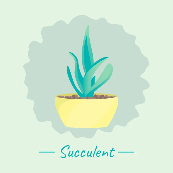 Succulent dans un pot — Image vectorielle