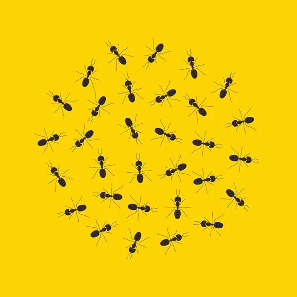 Colonia de hormigas marchando en círculo sobre fondo amarillo — Vector de stock