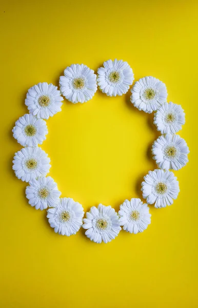 Gerbera madeliefje bloemen in een cirkel in bovenaanzicht — Stockfoto