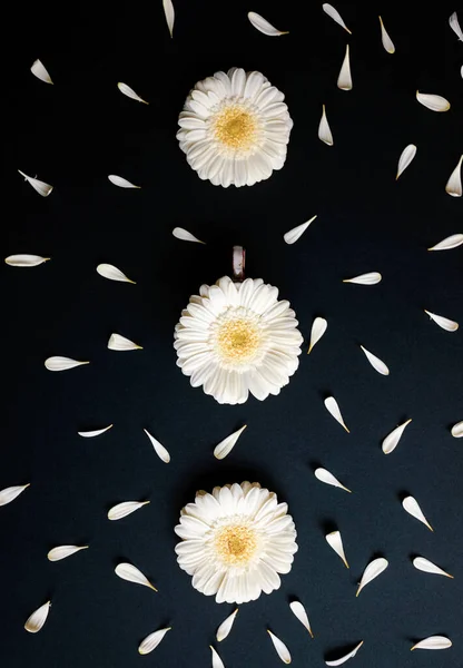 Vlak van madeliefjes bloemblaadjes rond gerbera bloemen — Stockfoto