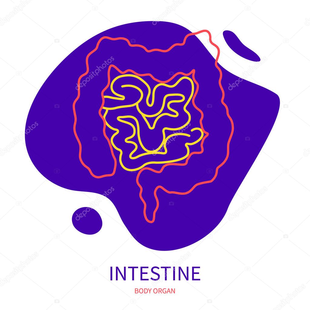 Large and small intestine of human digestive system. Body organ outline icon on abstract geometric splash. Human anatomy medical symbol. Vector illustration.