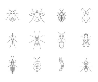 Böcek silueti simgesi böcek kontrol konsepti için simgeler