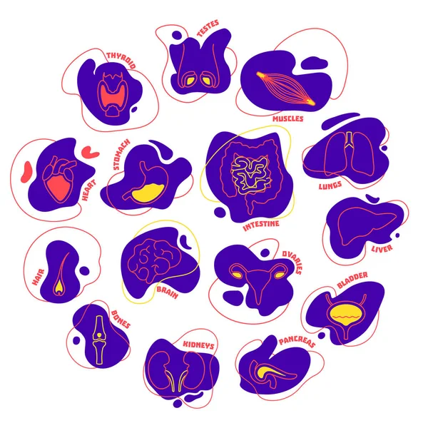 Corpo humano órgãos cor pictograma ícone conjunto —  Vetores de Stock