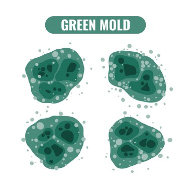 Vektör çizimleri ıslak yüzeylere yayılan yeşil zehirli küfleri gösteriyor. Küf kirliliği ve sağlık sorunları. .