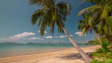 summer day phuket palm beach panorama 4k time lapse thailand