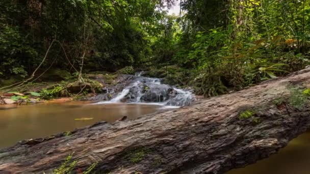 Phuket Île Jour Lumière Célèbre Tonne Sai Cascade Laps Temps — Video