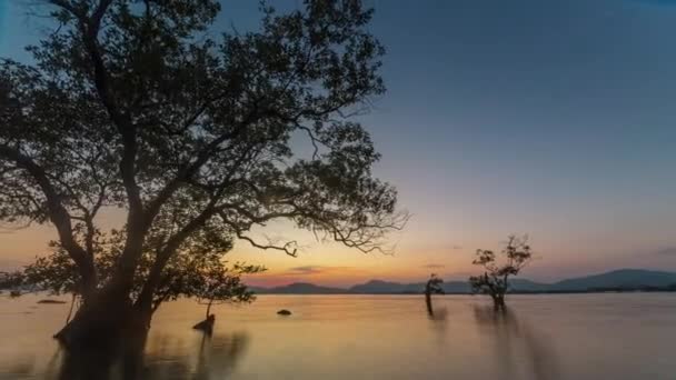 Atardecer Cielo Phuket Isla Árbol Playa Tiempo Lapso Tailandia — Vídeos de Stock