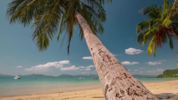 Słoneczny Dzień Palma Drzewo Plaża Panorama Czas Lapse Phuket Tajlandia — Wideo stockowe