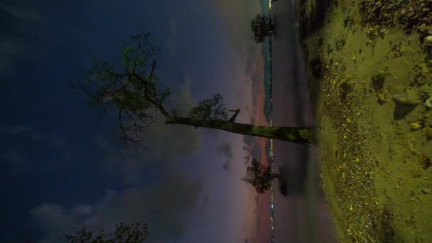 Phuket Πόλη Ηλιοβασίλεμα Ουρανό Παραλία Κάθετη Πανόραμα Time Lapse Ταϊλάνδη — Αρχείο Βίντεο