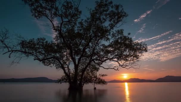 Phuket Νησί Όμορφο Ηλιοβασίλεμα Πανόραμα Παραλία Time Lapse Ταϊλάνδη — Αρχείο Βίντεο