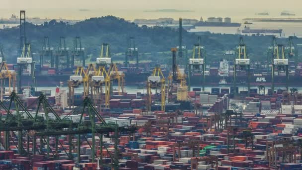 Werkdag lichte singapore port 4 k time-lapse — Stockvideo