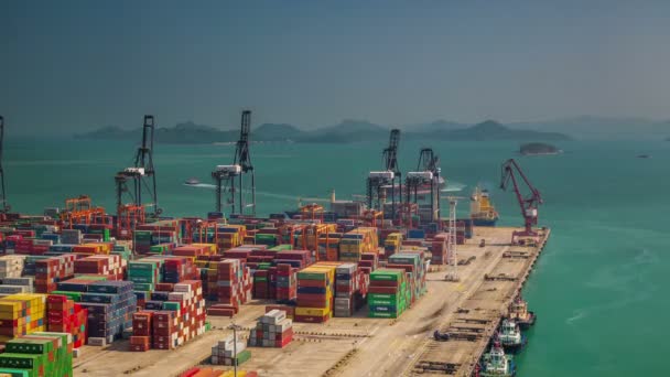 China day light shenzhen city famous port working hard 4k time lapse — Stockvideo