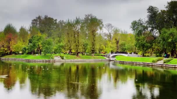 Yağmurlu bir gün Moskova şehir park su birikintisi Gölü Panoraması 4 k zaman sukut Rusya — Stok video