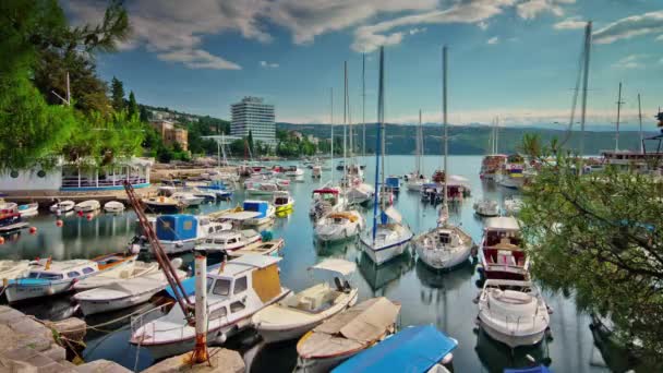 夏イストラ プライベート ヨット dock ポート湾パノラマ 4 k 時間経過クロアチア — ストック動画