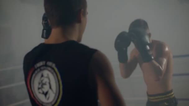 Superleichtes Boxtraining mit einem Begleiter unter Verwendung von Schlagpolstern — Stockvideo