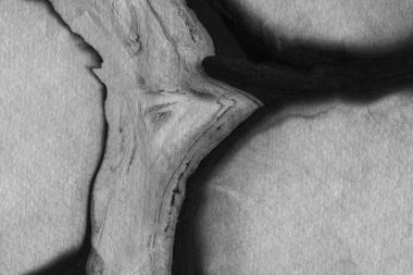 Soyut siyah mürekkep lekesi. Suluboya kağıdına Çin mürekkep arkaplanı. 