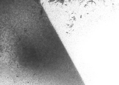 Soyut grafiti arkaplanı. Hava fırçası efektli duvar kâğıdı. Beyaz kağıda siyah akrilik boya dokusu. Dağınık çamur sanatı. Makro sprey boya. El yapımı grunge arka plan