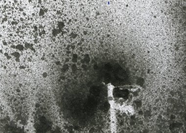 Soyut grafiti arkaplanı. Hava fırçası efektli duvar kâğıdı. Beyaz kağıda siyah akrilik boya dokusu. Dağınık çamur sanatı. Makro sprey boya. El yapımı grunge arka plan