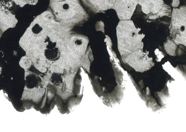 Soyut mürekkep arkaplanı. Mermer tarzı. Beyaz kağıda siyah boya dokusu. Ağ ve oyun tasarımı için duvar kağıdı. Grunge çamur sanatı. Kalem suyunun makro resmi. Koyu Smear