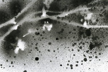 Soyut grafiti arkaplanı. Hava fırçası efektli duvar kâğıdı. Beyaz kağıda siyah akrilik boya dokusu. Dağınık çamur sanatı. Makro sprey boya. El yapımı grunge arka plan