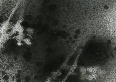 Soyut grafiti arkaplanı. Hava fırçası efektli duvar kâğıdı. Beyaz kağıda siyah akrilik boya dokusu. Dağınık çamur sanatı. Makro sprey boya. El yapımı grunge arka plan