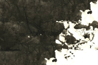 Soyut mürekkep arkaplanı. Mermer tarzı. Beyaz kağıda siyah boya dokusu. Ağ ve oyun tasarımı için duvar kağıdı. Grunge çamur sanatı. Kalem suyunun makro resmi. Koyu Smear
