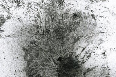 Soyut grafiti arkaplanı. Hava fırçası efektli duvar kâğıdı. Beyaz kağıda siyah akrilik boya dokusu. Dağınık çamur sanatı. Makro sprey boya. El yapımı grunge arka plan