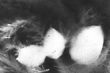 Soyut grafiti arkaplanı. Hava fırçası efektli duvar kâğıdı. Beyaz kağıda siyah akrilik boya dokusu. Dağınık çamur sanatı. Makro sprey boya. El yapımı grunge arka plan