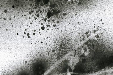 Soyut grafiti arkaplanı. Hava fırçası efektli duvar kâğıdı. Beyaz kağıda siyah akrilik boya dokusu. Dağınık çamur sanatı. Makro sprey boya. El yapımı grunge arka plan