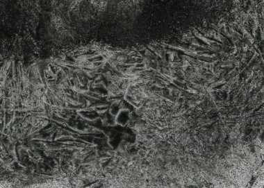 Soyut grafiti arkaplanı. Hava fırçası efektli duvar kâğıdı. Beyaz kağıda siyah akrilik boya dokusu. Dağınık çamur sanatı. Makro sprey boya. El yapımı grunge arka plan