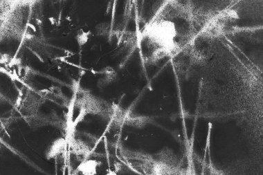 Soyut grafiti arkaplanı. Hava fırçası efektli duvar kâğıdı. Beyaz kağıda siyah akrilik boya dokusu. Dağınık çamur sanatı. Makro sprey boya. El yapımı grunge arka plan