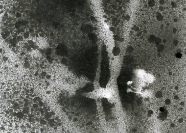 Soyut grafiti arkaplanı. Hava fırçası efektli duvar kâğıdı. Beyaz kağıda siyah akrilik boya dokusu. Dağınık çamur sanatı. Makro sprey boya. El yapımı grunge arka plan