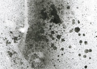 Soyut grafiti arkaplanı. Hava fırçası efektli duvar kâğıdı. Beyaz kağıda siyah akrilik boya dokusu. Dağınık çamur sanatı. Makro sprey boya. El yapımı grunge arka plan