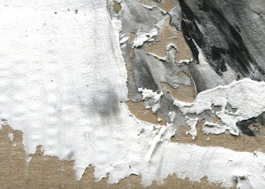 Soyut arkaplan. Beyaz boya ve siyah mürekkep dokusu. Makro resim