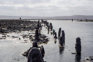 Çamurlu bir göl manzarası. Tıbbi tedavi çamuru. Dinlen, rahatla.