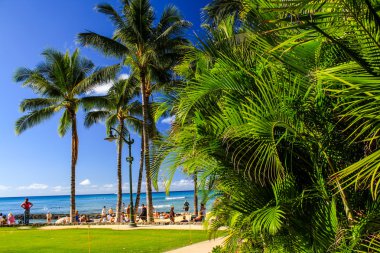 waikiki beach avucunda